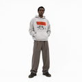 P-21 LTW Winter sky grey  hoodie